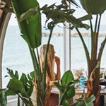 Dora Rentals - Instagram 19