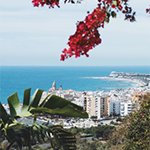 Dora Rentals - Instagram 22